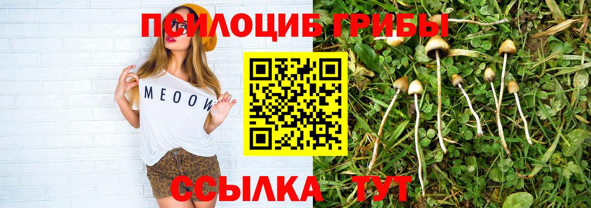 Галлюциногенные грибы MAGIC MUSHROOMS Солнечногорск